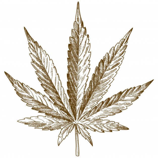 hemp-leaf_Hemp t-shirts - Hemp T Shirts hemp-leaf_Hemp t-shirts